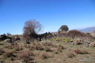 Grotta della Neve